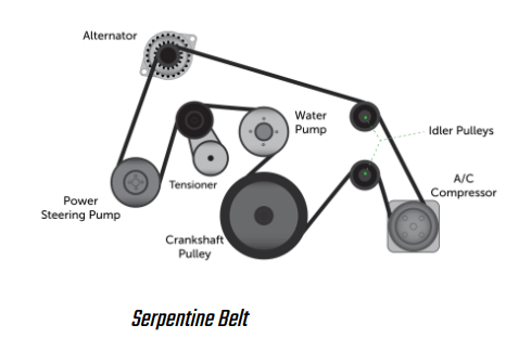a graphic depicting serpentine belt