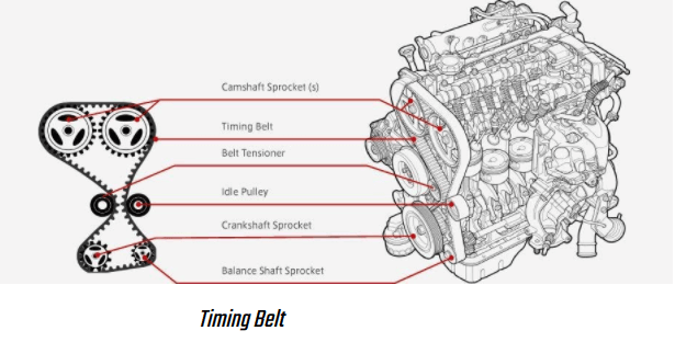 Understanding the difference between a Serpentine Belt vs Timing ﻿Belt